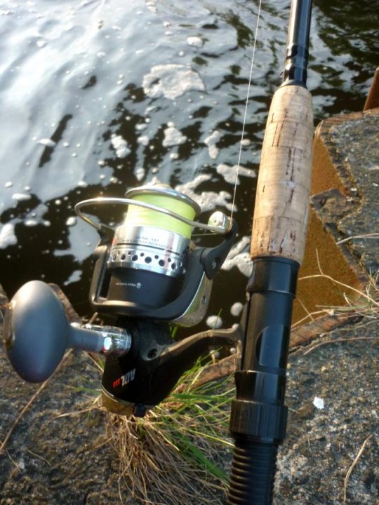 Viele Barsche für die Spinnangler