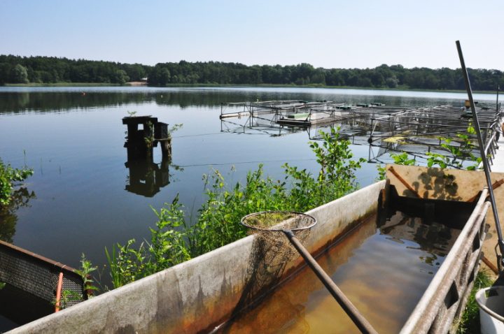 Fortbildung. Das IfB hat seinen Sitz am Sacrower See