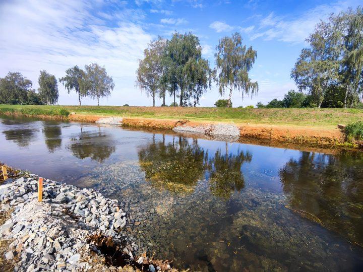Bessere Bedingungen für Fische: Schwelle für Niedrigwasseraufhöhung in der Schwarzen Elster