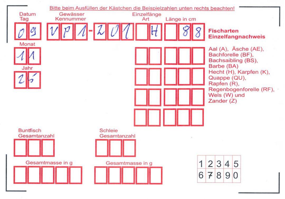 Bitte nur neue Fangbelege einreichen