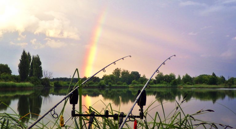 Angelruten am Wasser vor einem Regenbogen.
