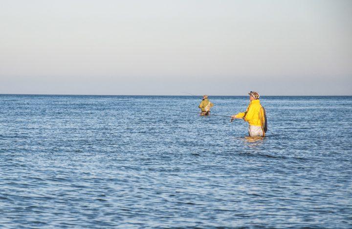 Information zur Entrichtung der Fischereiabgabe auch für „Gastangler“
