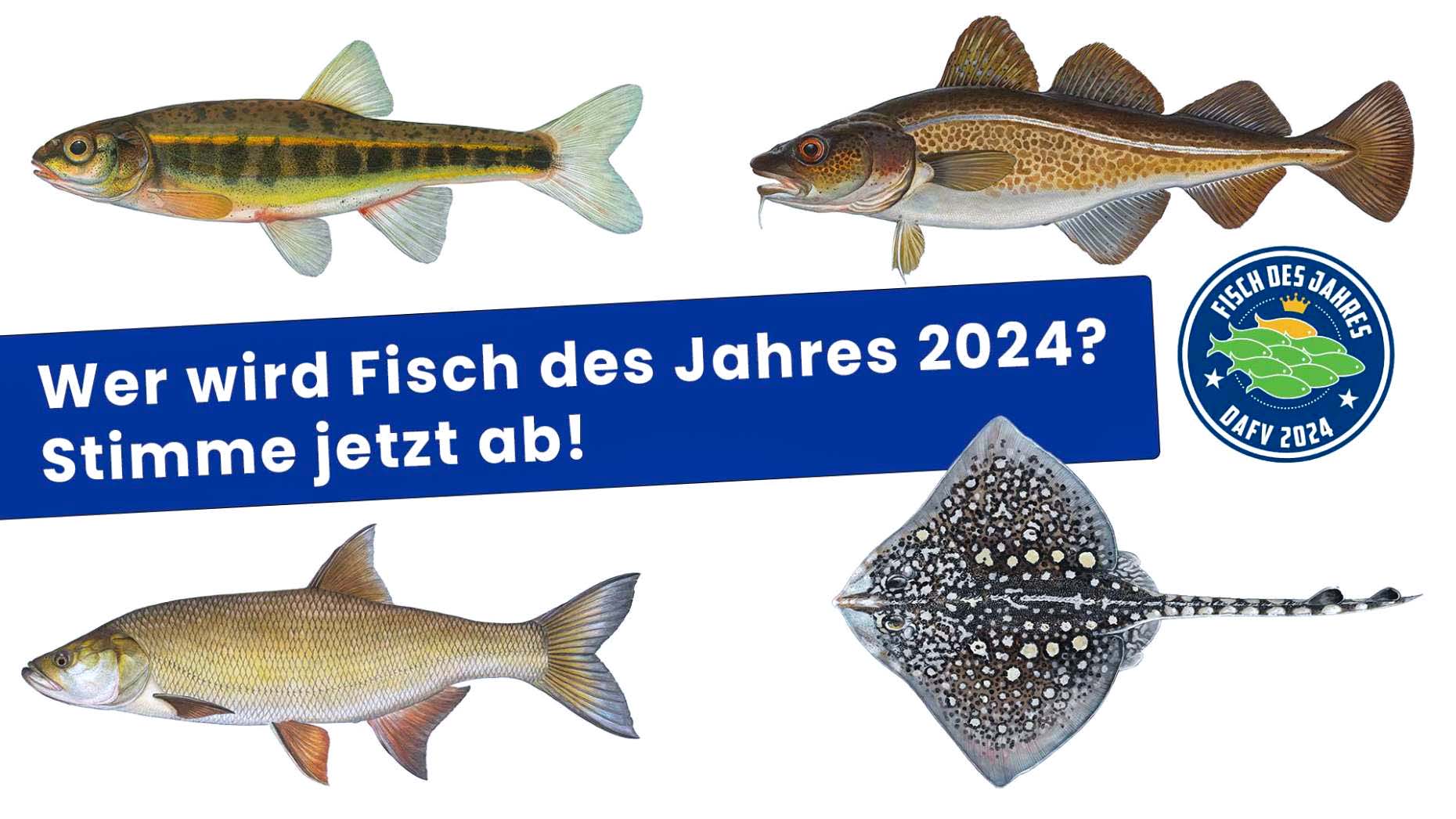 "Fisch des Jahres 2024"