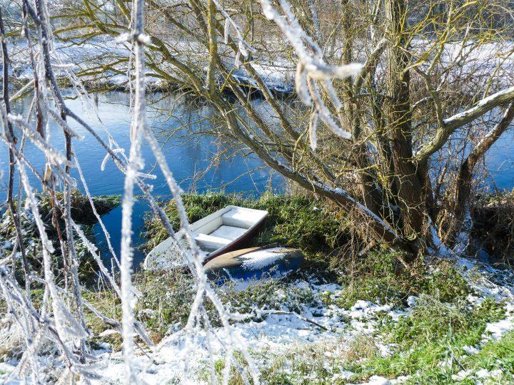 Neue Ausgabe "Der Märkische Angler"